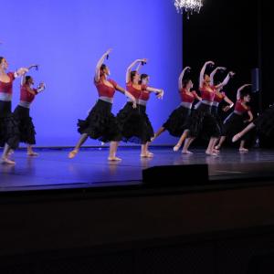 Fotografía de Talleres Danza Española (galería 2) - Conservatorio de Danza